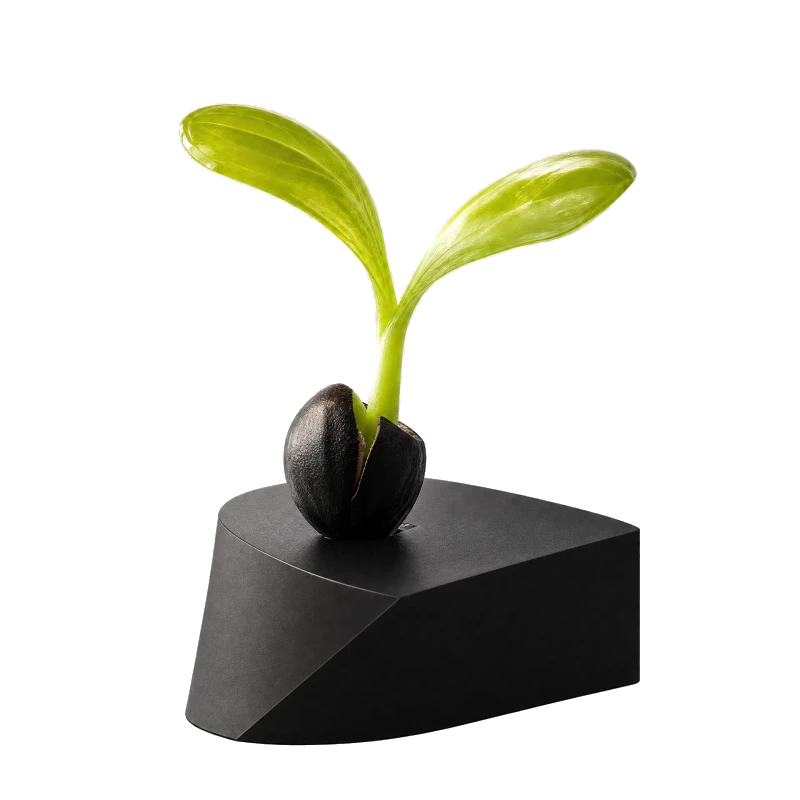 SeedMediaa growth seed